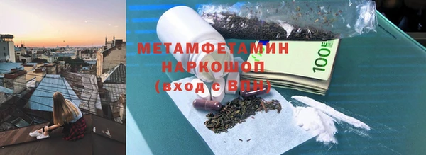 индика Бородино