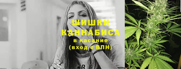 индика Бородино