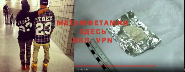 индика Бородино