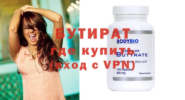 индика Бородино