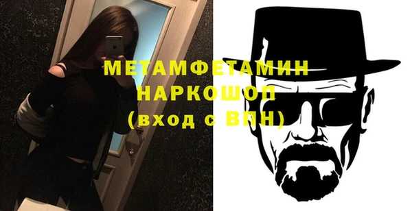 индика Бородино