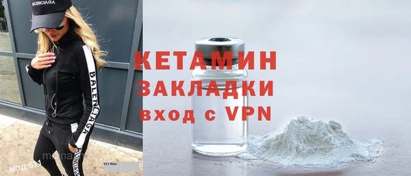 индика Бородино