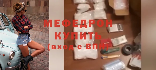 индика Бородино