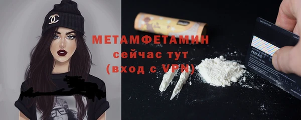 индика Бородино