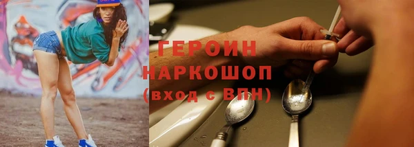 индика Бородино