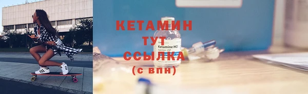 индика Бородино