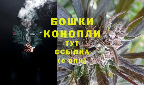 индика Бородино