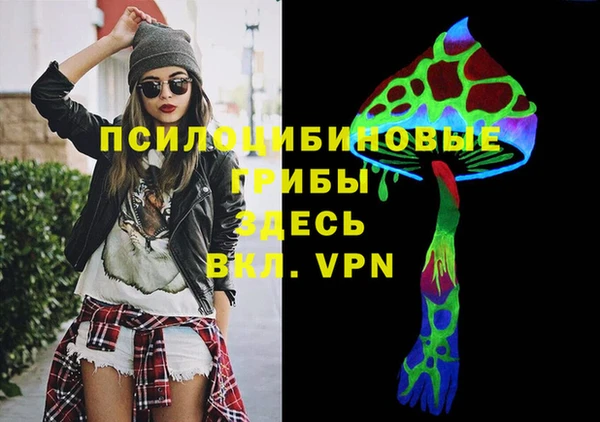 индика Бородино