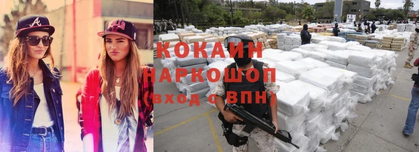 индика Бородино