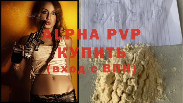 индика Бородино