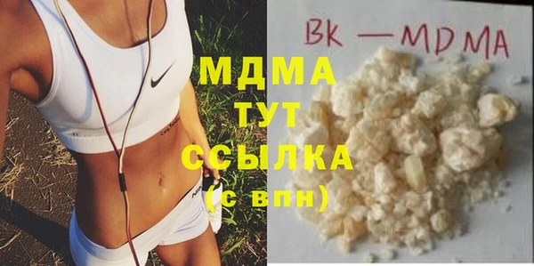 индика Бородино