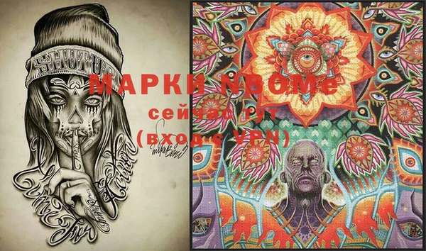 индика Бородино