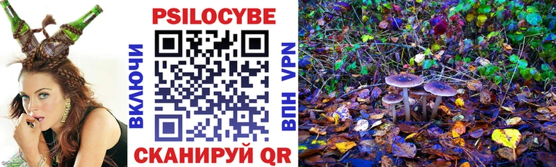 Псилоцибиновые грибы MAGIC MUSHROOMS  где можно купить   Керчь 